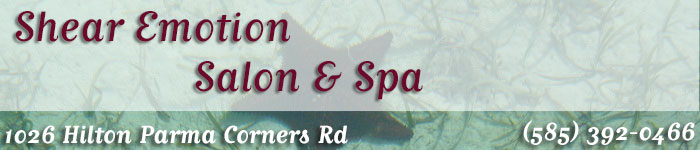 Shear Emotion & Caribbean Sun Tanning